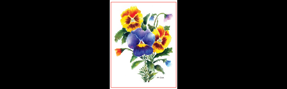 The Pansy Trio
