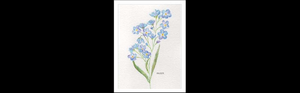Water Color Forget Me Nots