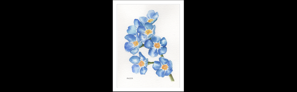 Water Color Forget Me Nots 2